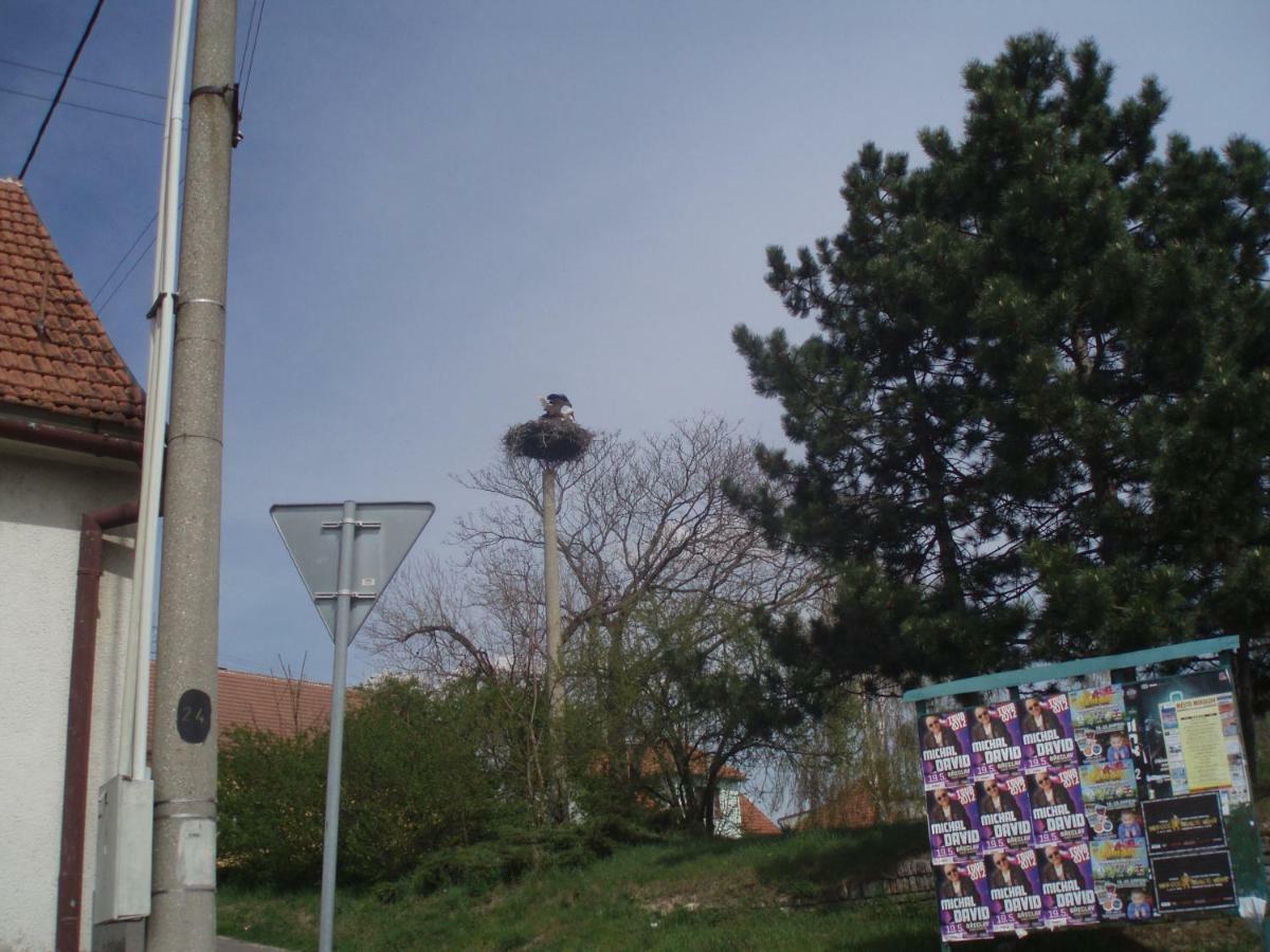 "U Capa" Krasny Apartman V Sedleci Sedlec  Dış mekan fotoğraf