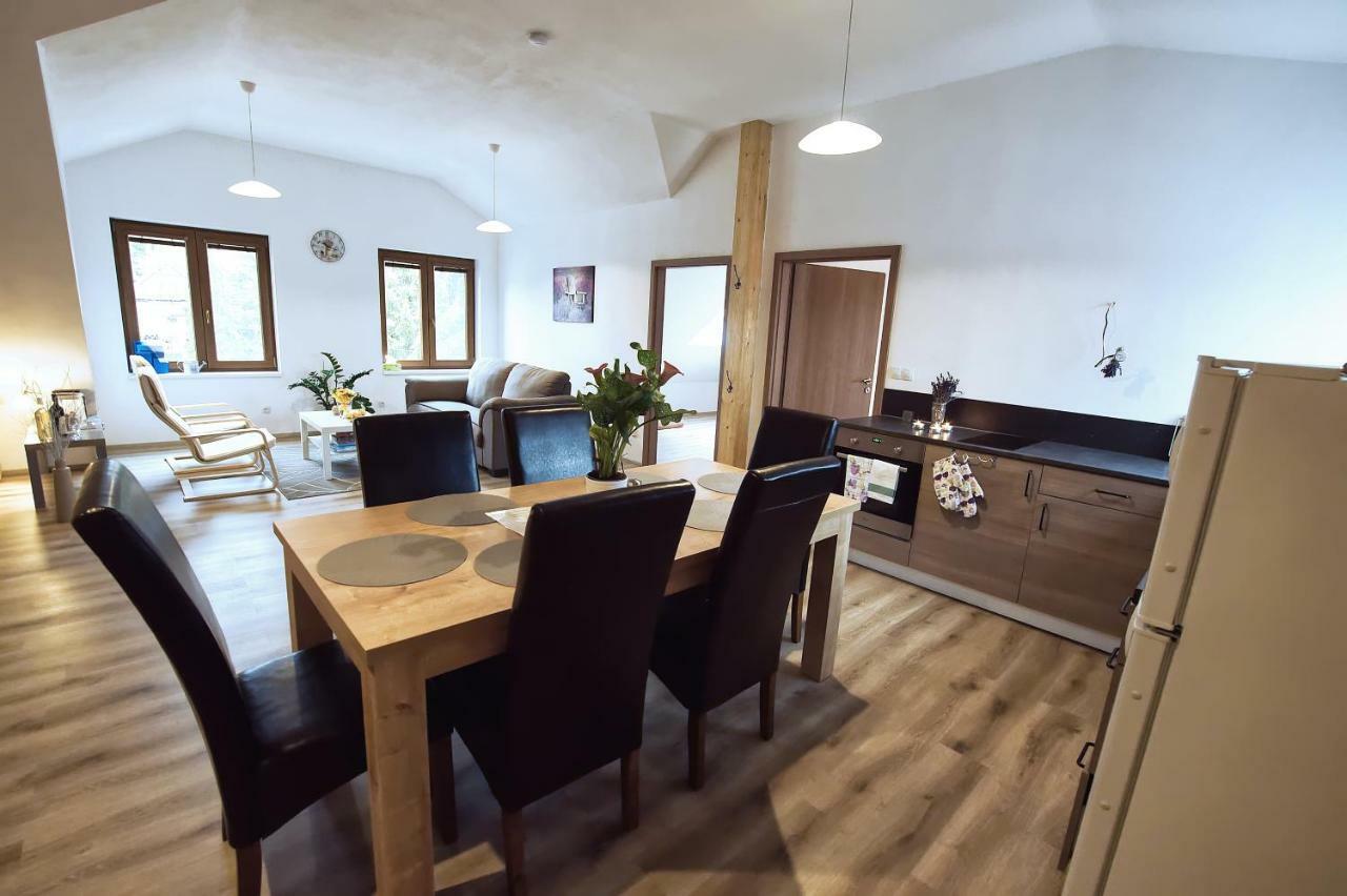 "U Capa" Krasny Apartman V Sedleci Sedlec  Dış mekan fotoğraf
