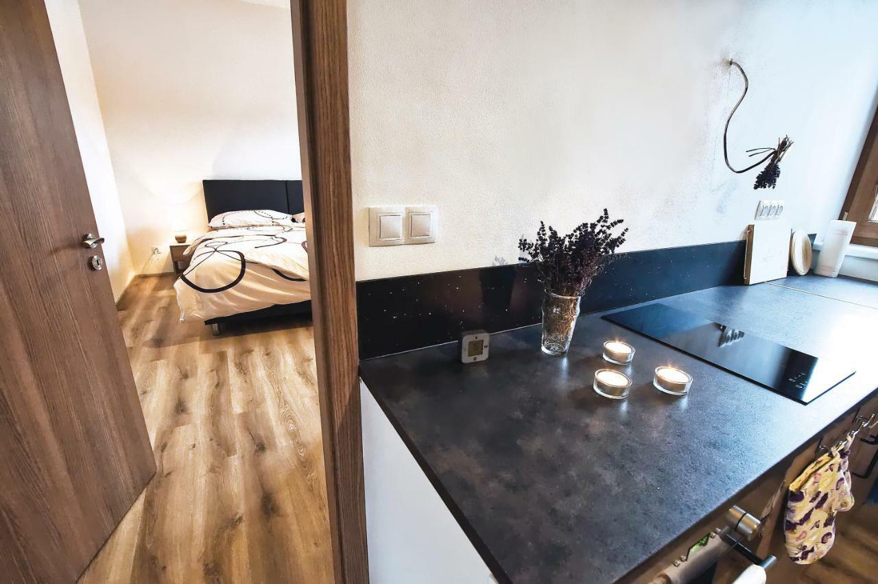 "U Capa" Krasny Apartman V Sedleci Sedlec  Dış mekan fotoğraf